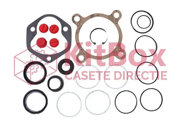 Steering Repair Kit SAGINAW -BRIGADEER, GENERAL- ROTARY VALVE 71004257 AS13727, 19A KitBox