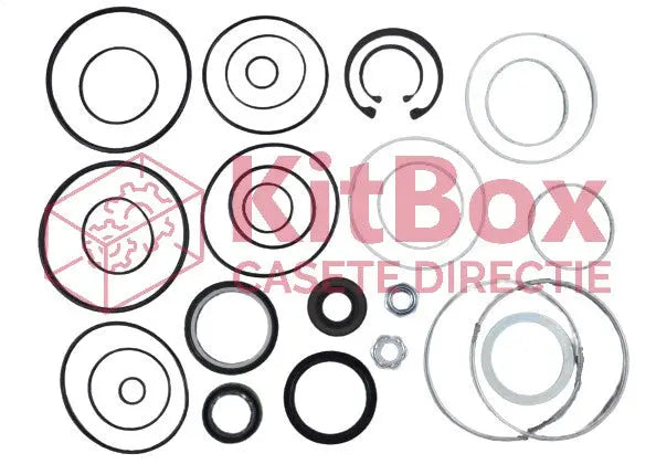Steering Repair Kit Saginaw, 710 DUAL PISTON GM BUS & TRUCK 8092 0071004250 AS13725, 19A KitBox