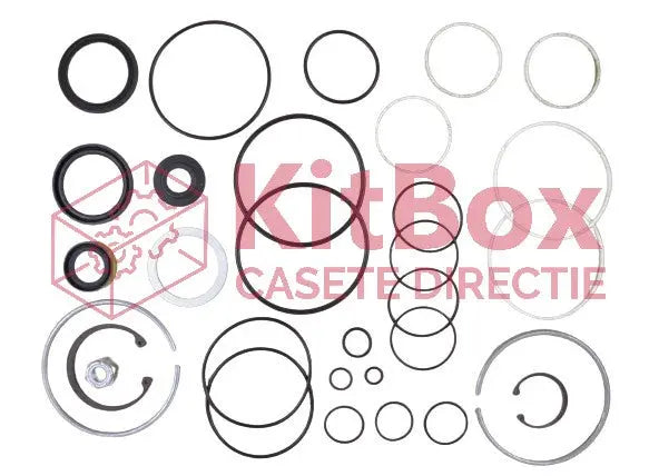 Steering Repair Kit Saginaw 710, Dual Piston, N40, 1990-1995, Heavy Duty, 8295 71004255 26013044, 19A KitBox