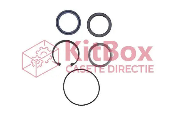 Steering Repair Kit Saginaw, Dual Piston, 8268 19016854 AS13599, 19A KitBox